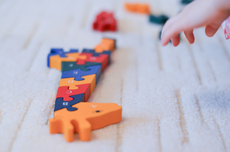 Wooden colorful toy giraffe assembled on the floorの写真素材