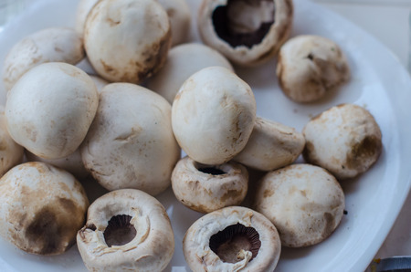 Champignon mushrooms on the plate. Closeupの写真素材