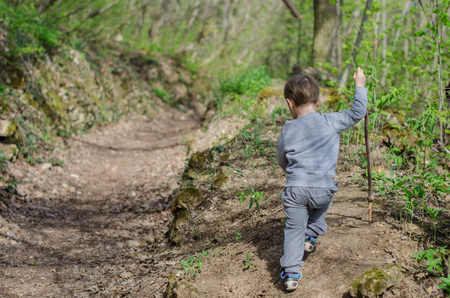 Boy walk or hike through the forest in early springの写真素材
