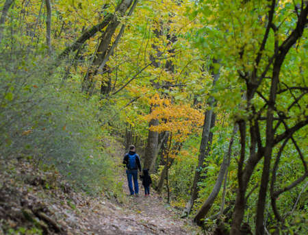 Family walk or hike through the woods in early autumn, October in Buda hillsの写真素材