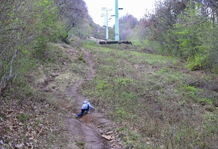 Family walk or hike on trail under chairlift in early spring, April on Buda hillsの写真素材