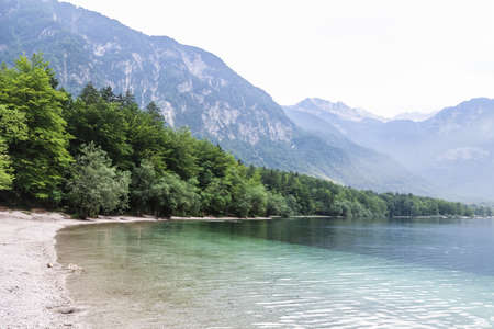 Lake Bohinj in Slovenia - clear and transparent waterの写真素材