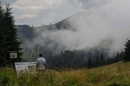 Landscape of spruce forest in the fog cloudsの写真素材