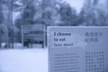 Environmental installation in Ranua zoo, Finland
