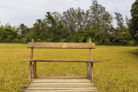 Wooden bench on the top rice field background.