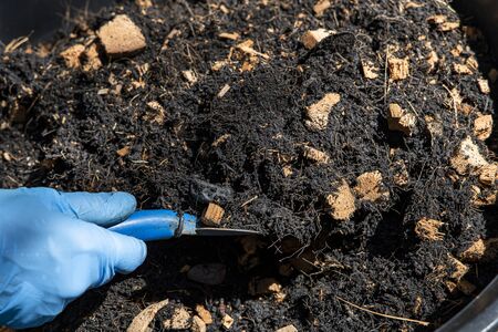 Gardeners wear gloves with a shovel to prepare the soil.