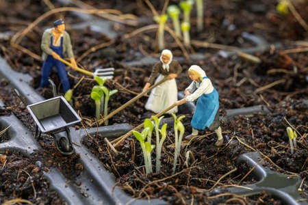 Miniature people gardeners working with planting tree on the morning.