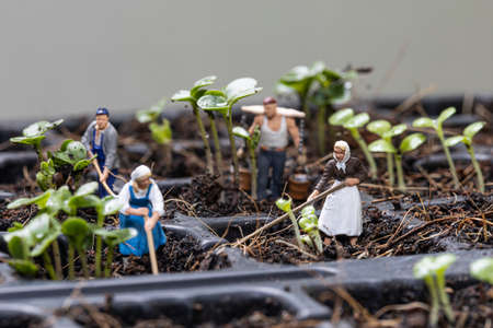 Miniature people gardeners working with planting tree on the morning.の写真素材