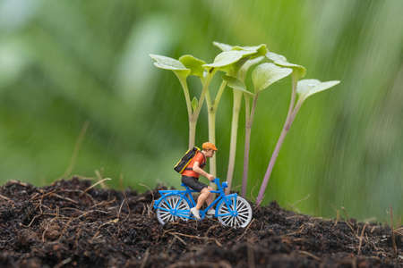 Close up of miniature bicyclist with kale sprout growth on the soil and ride a bike in the rain.の写真素材