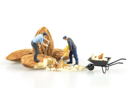 Close up of Miniature worker with almond seeds isolate on white background.の写真素材