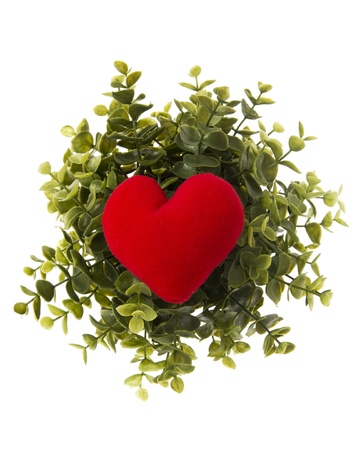 red heart pillow with plant isolated on white backgroundの写真素材