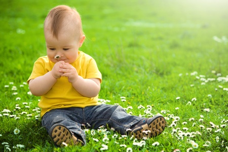 Little boy is sitting on green meadow and smell daisyの写真素材