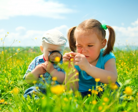 Children are playing on green meadow examining field flowers using magnifying glassの写真素材