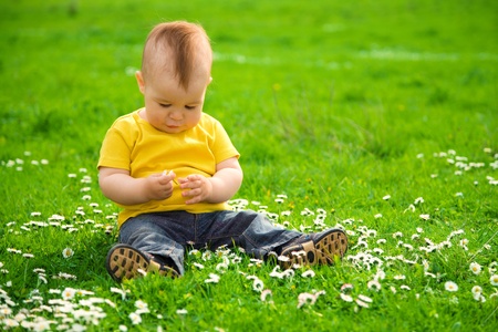Little boy is sitting on green meadow and smell daisyの写真素材