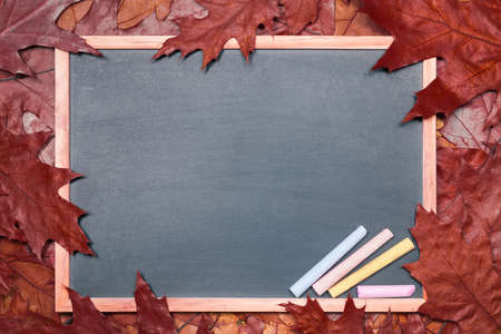Blackboard for study on a background of autumn dry leaves. The concept of the beginning of the...