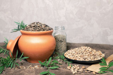 Zinnia flower seeds in a clay pot and nasturtium in a plate. Preparation for sowing or storage....