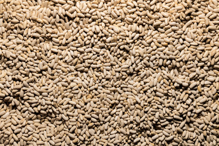 Bean seeds background. Health food. Collection, storage and preparation of seeds for planting. Beans...