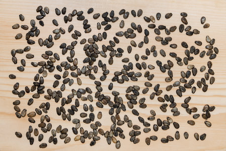 Watermelon seeds on a wooden background. Seed pattern. Landing preparation concept.