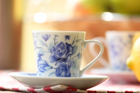tea and fruit outdoors at picnicの写真素材