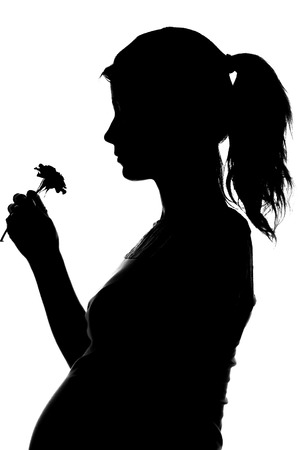 a silhouette of a pregnant woman on a white backgroundの写真素材