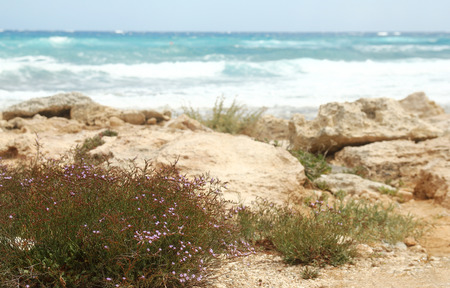 a landscape from the sea to the shore backgroundの写真素材