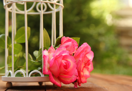 decorative cage with flowers for wedding ceremonyの写真素材