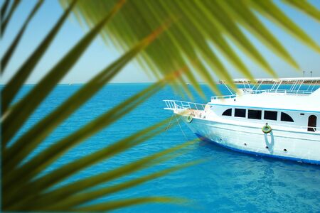 The yacht's steering wheel sails on the seawith palm leafsの写真素材