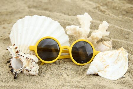 a Seashells on sand backgroundの写真素材