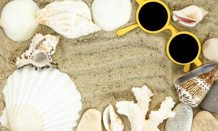 a Seashells on sand background