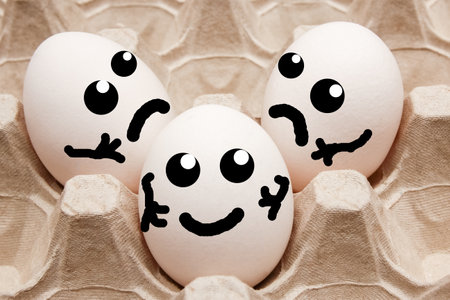 Eggs in a cardboard tray and suitable for transporting and transporting whole eggs