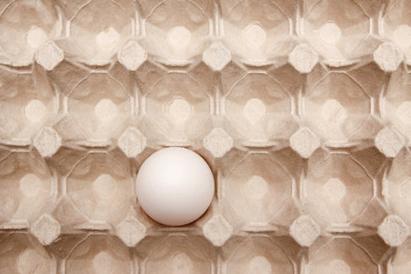 Eggs in a cardboard tray and suitable for transporting and transporting whole eggs