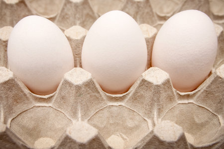 Eggs in a cardboard tray and suitable for transporting and transporting whole eggsの写真素材