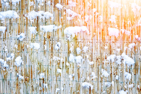 bold fence in winter on nature in the park backgroundの写真素材