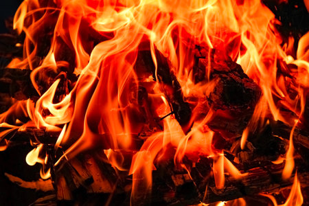 Fire with coals and fire on nature picnic background. Burns out a bonfire for food on the street