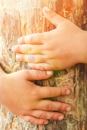 hands of a happy child in natureの写真素材