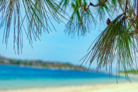 beautiful nature by the sea in greece backgroundの写真素材