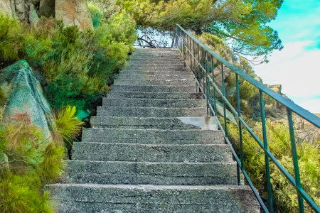 beautiful steps by the sea on nature in the park backgroundの写真素材
