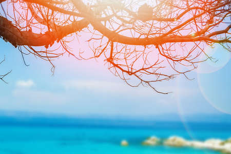 beautiful sea in greece on nature backgroundの写真素材