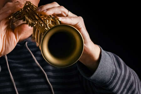 アルトサックスの写真 イラスト素材一覧 2 085件 ストックフォトのamanaimages Plus