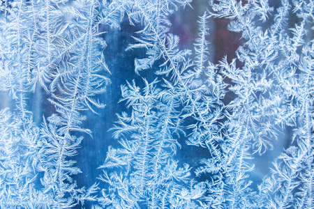frost on the glass backgroundの写真素材