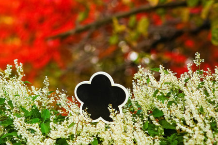 beautiful background in the park autumn backgroundの写真素材