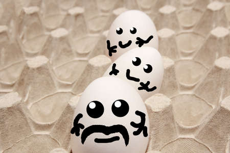 Eggs in a cardboard tray and suitable for transporting and transporting whole eggsの写真素材