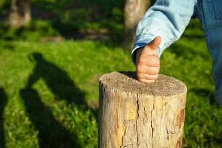 children's hands hold a stump in the park in natureの写真素材
