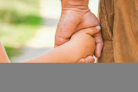 the hands of a parent and child in the parkの写真素材