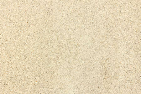 beautiful footprints in the sand by the sea in the nature of Cyprusの写真素材