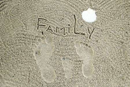 family footprints in the sand on the beach with shellの写真素材