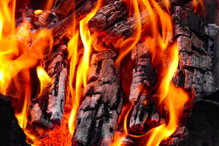Fire with coals and fire on nature picnic background. Burns out a bonfire for food on the street