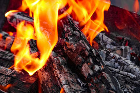 Fire with coals and fire on nature picnic background. Burns out a bonfire for food on the street