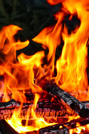 Fire with coals and fire on nature picnic background. Burns out a bonfire for food on the streetの写真素材