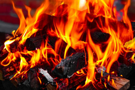 Fire with coals and fire on nature picnic background. Burns out a bonfire for food on the street